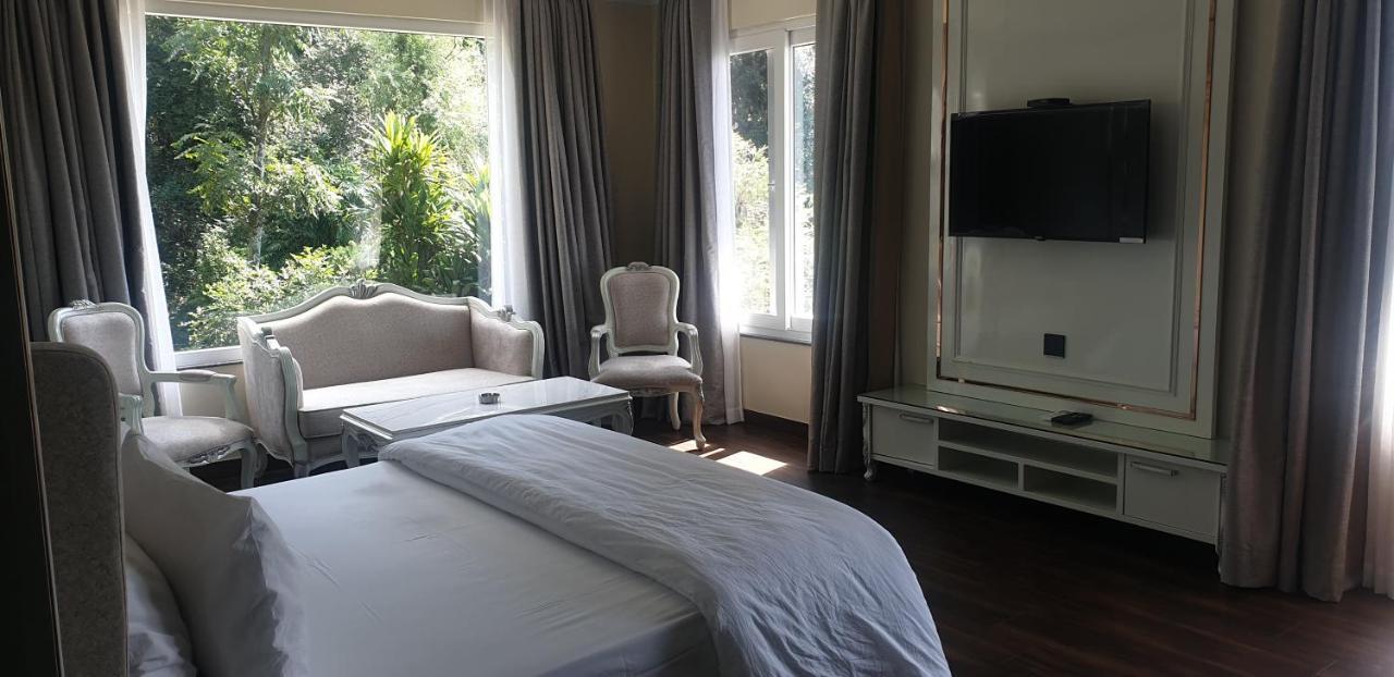 Hotel Pong View دارامشالا المظهر الخارجي الصورة